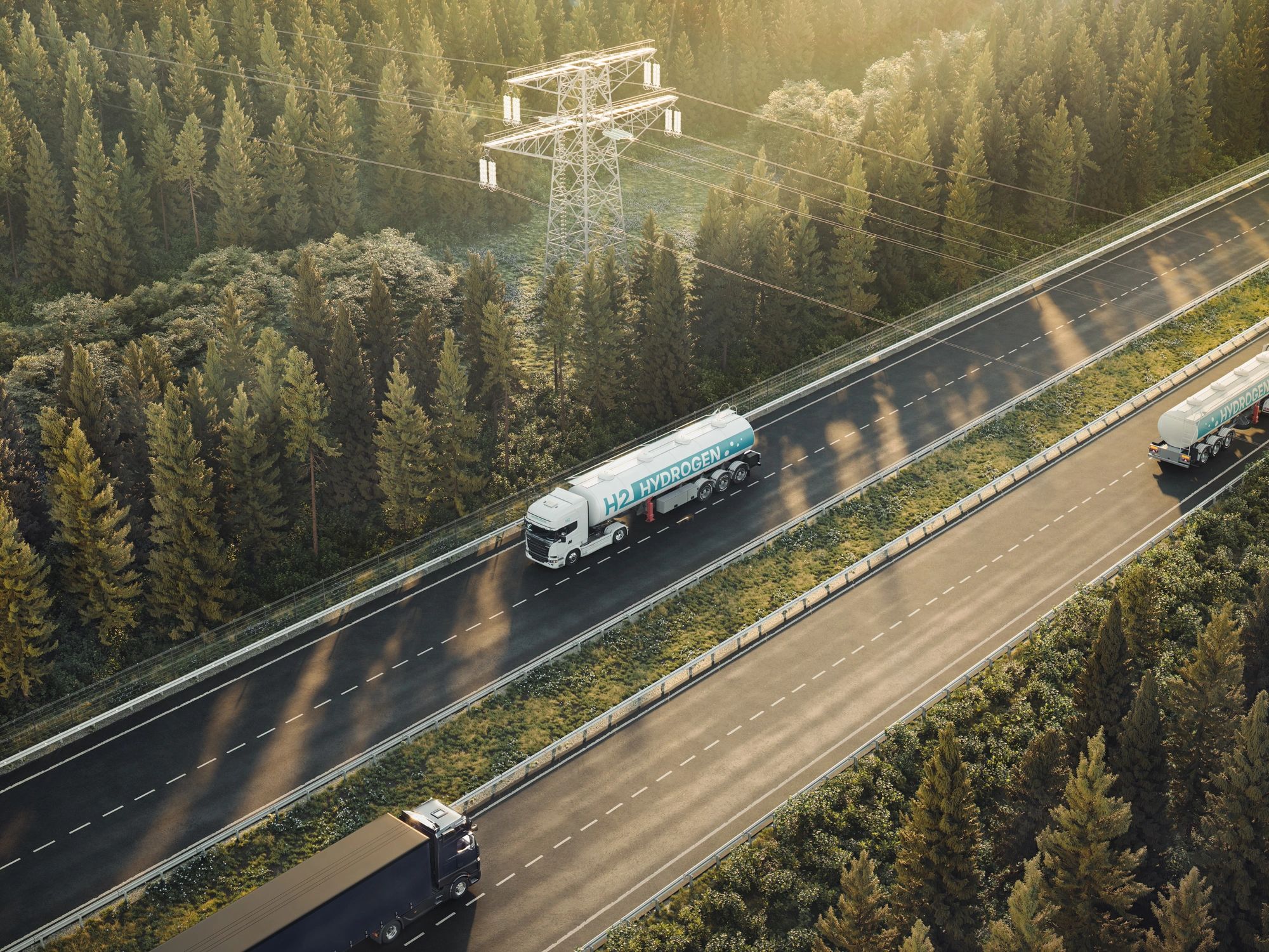 global fuel logistics